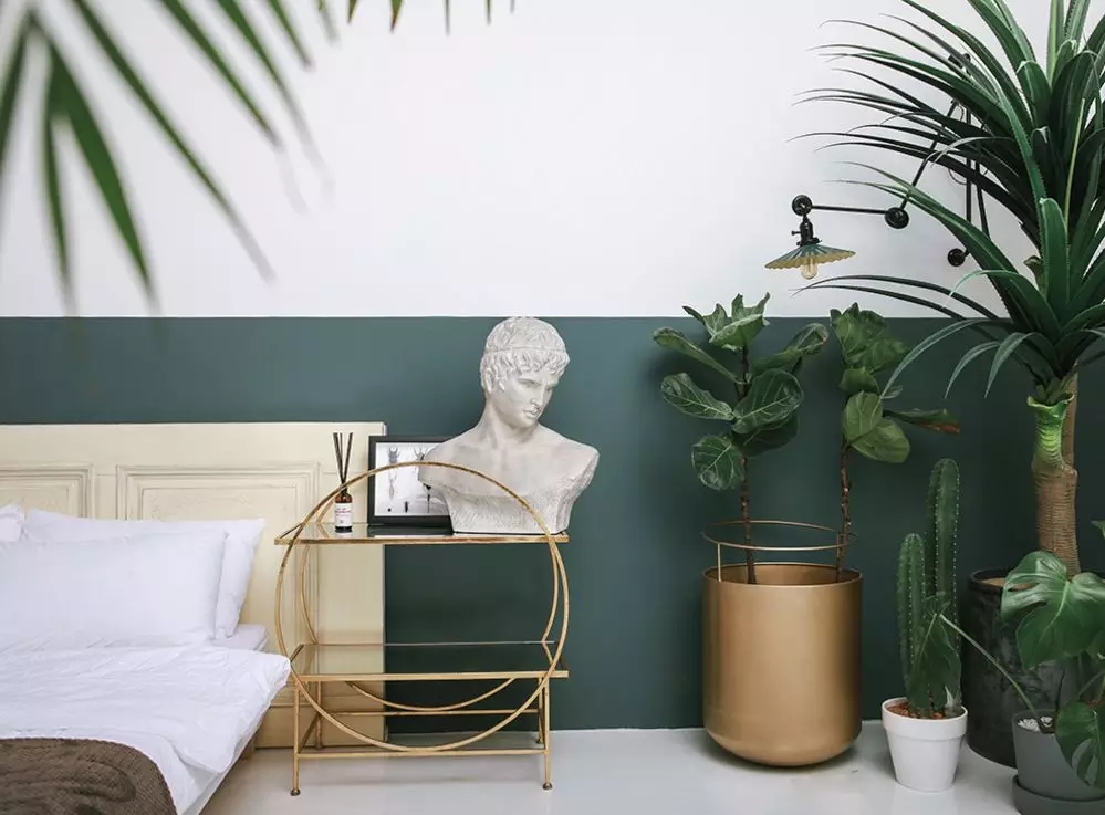 Maple Bridge，MUNO，mini more，Banana leaf，shop，