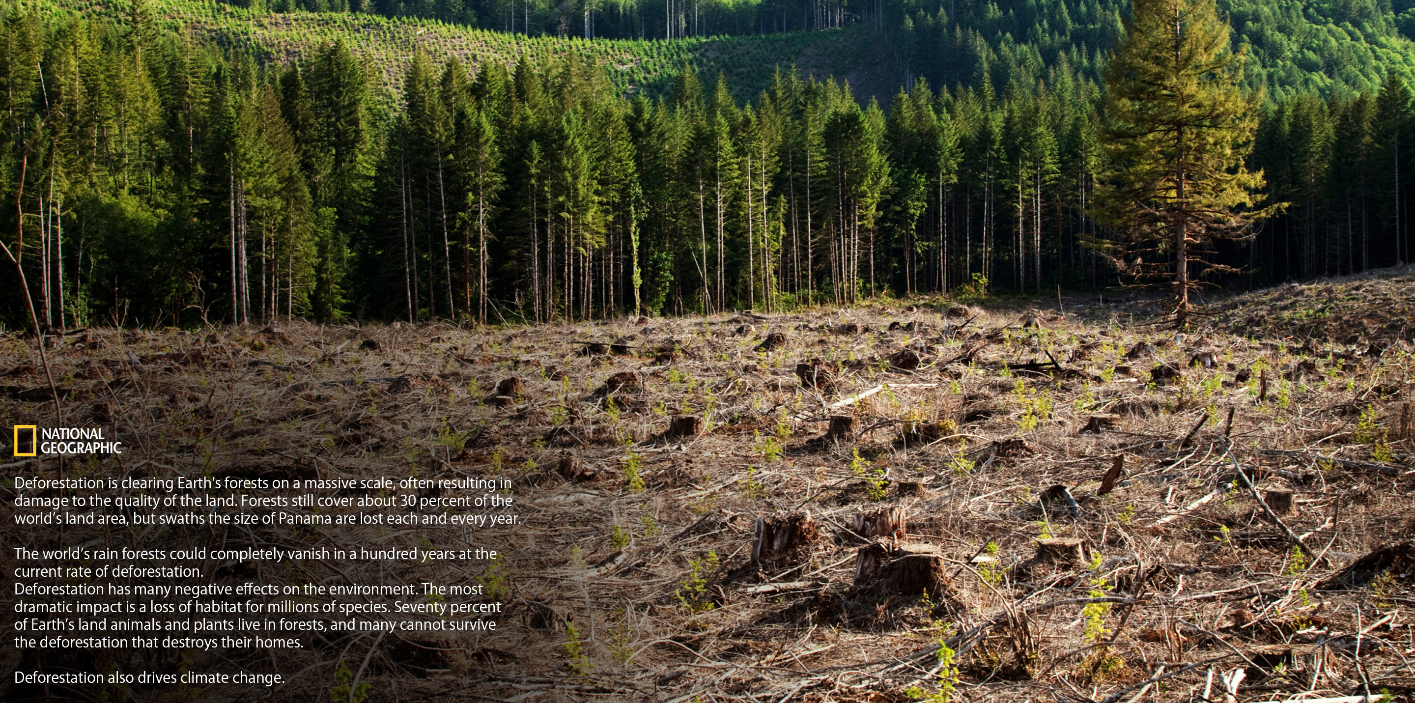 printer，Printall，Dyson Design Award，Dyson award，Print，Green environmental protection，