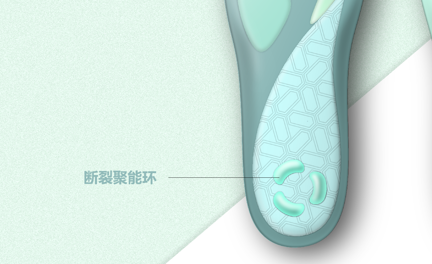 motion，Insole，shock absorption，fashion，