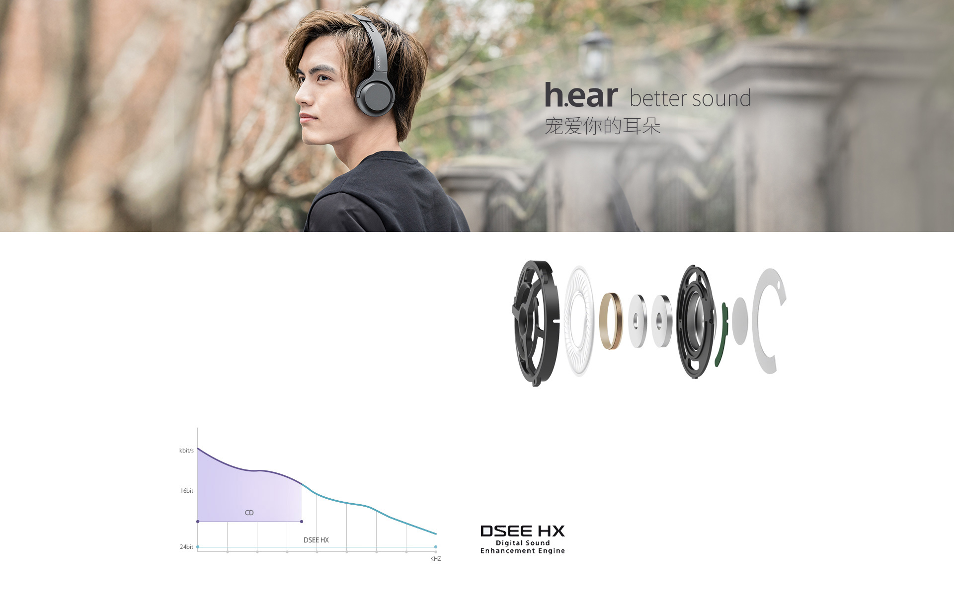 headset，sony，WH-H800/NM，