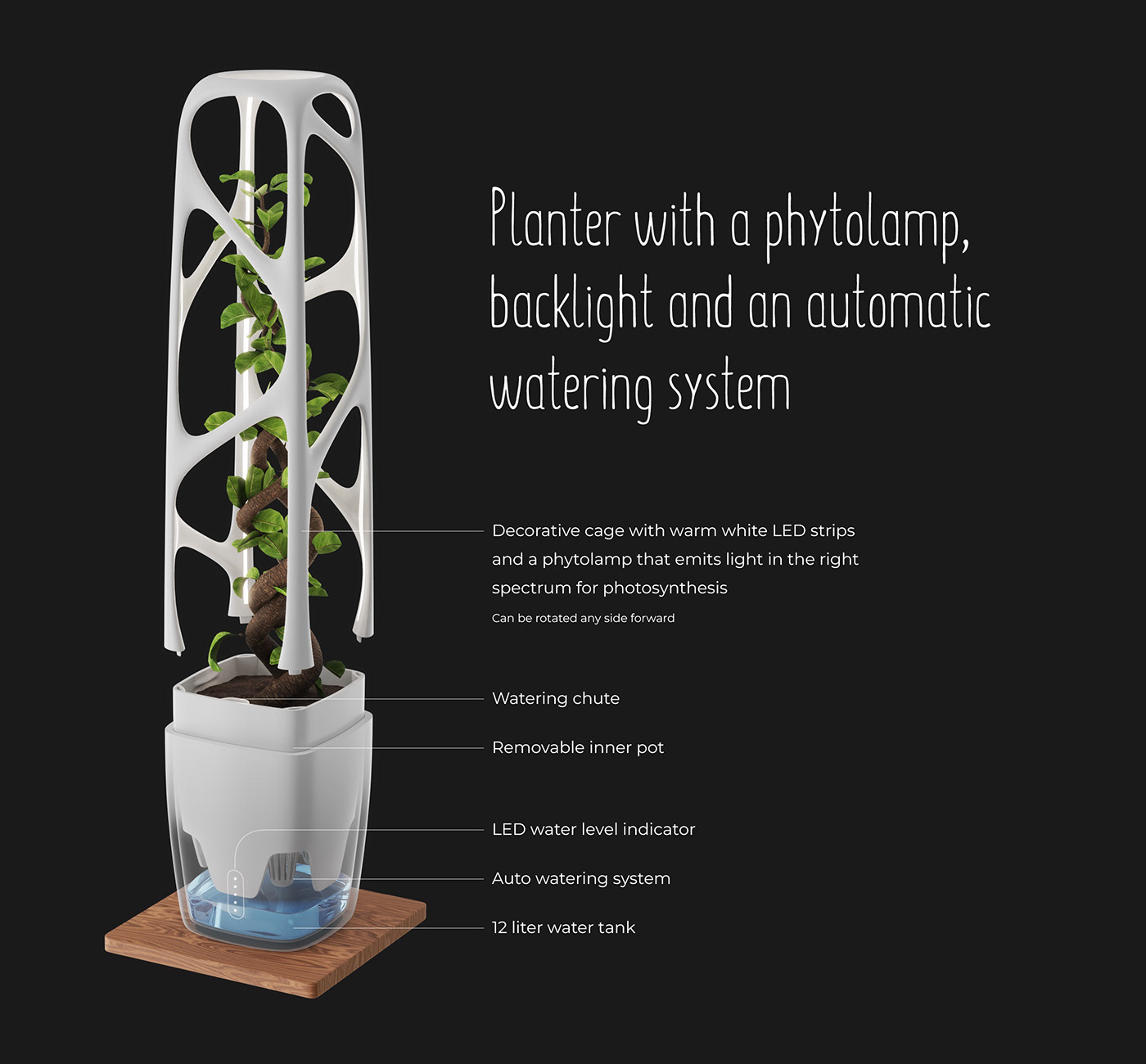 laustrafloria，seeder，