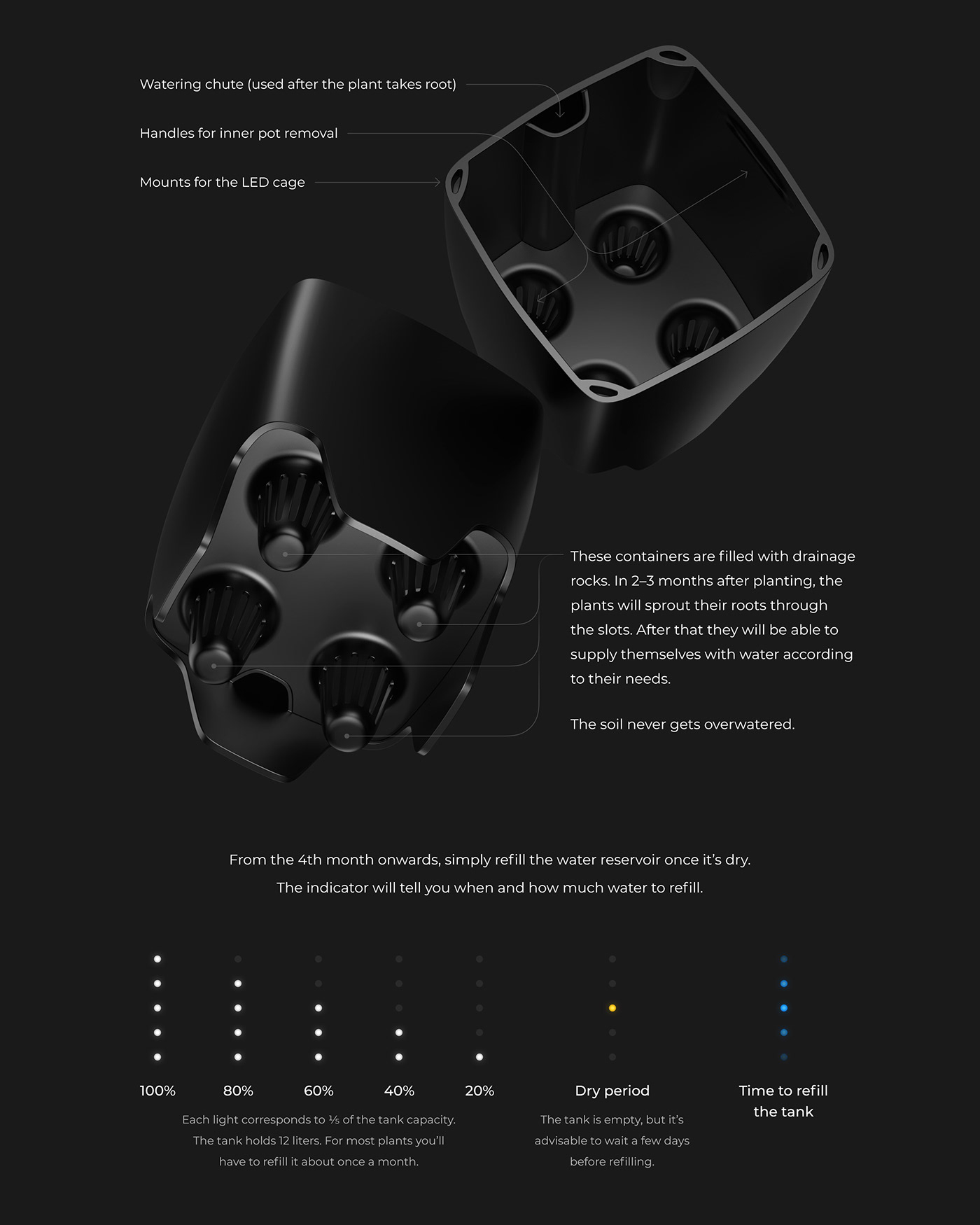 laustrafloria，seeder，