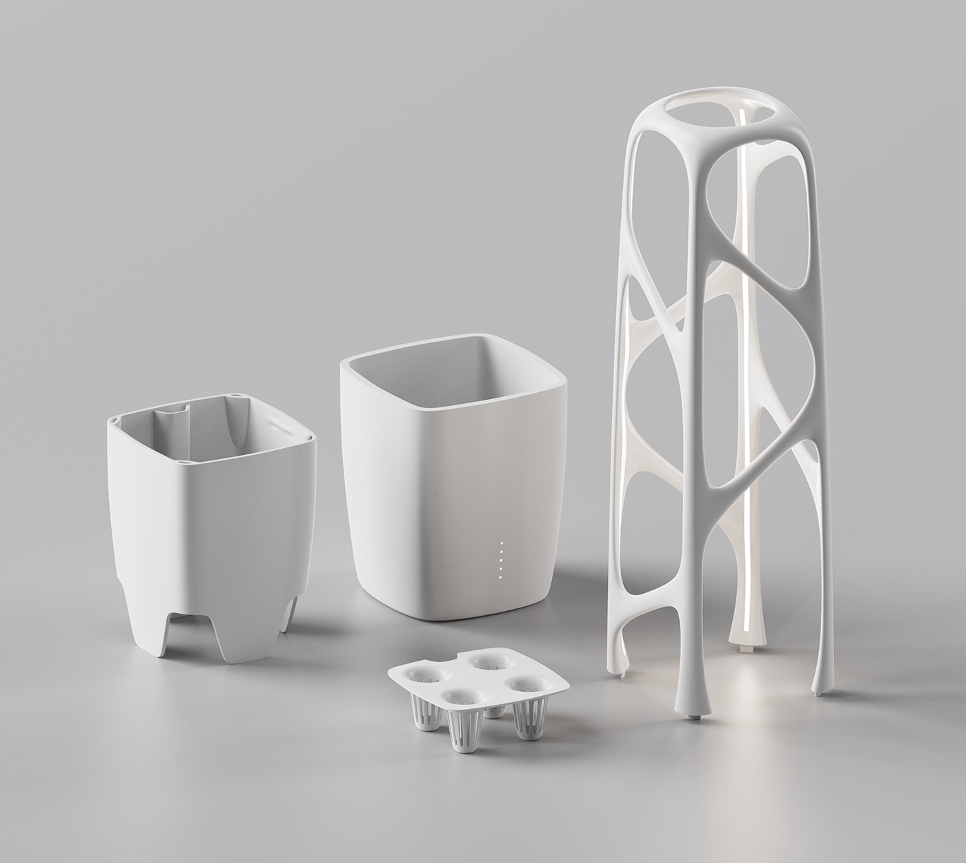 laustrafloria，seeder，