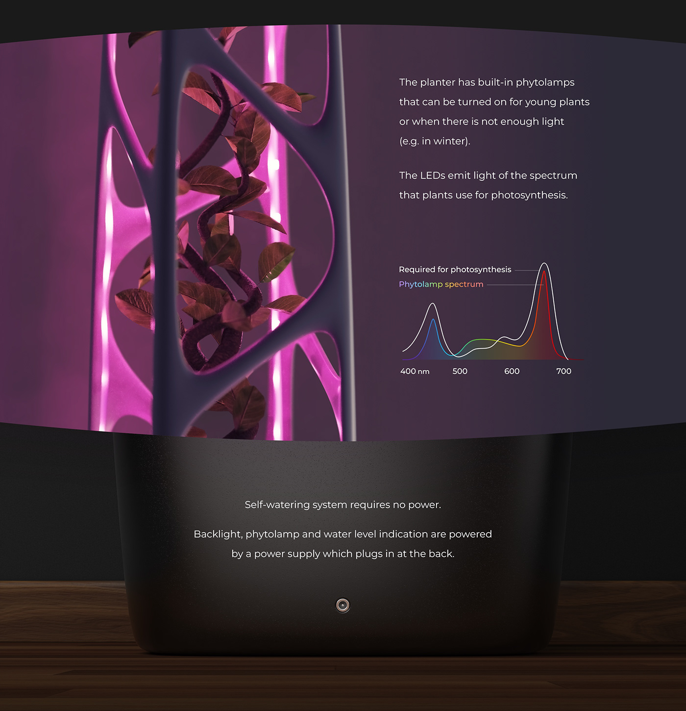 laustrafloria，seeder，