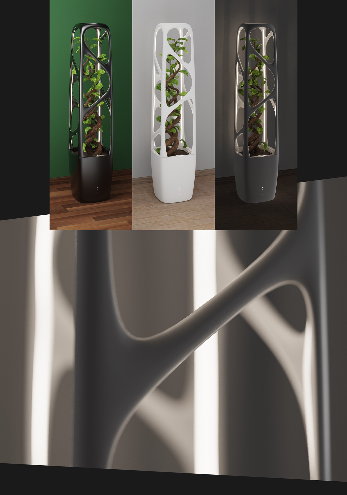 laustrafloria，seeder，