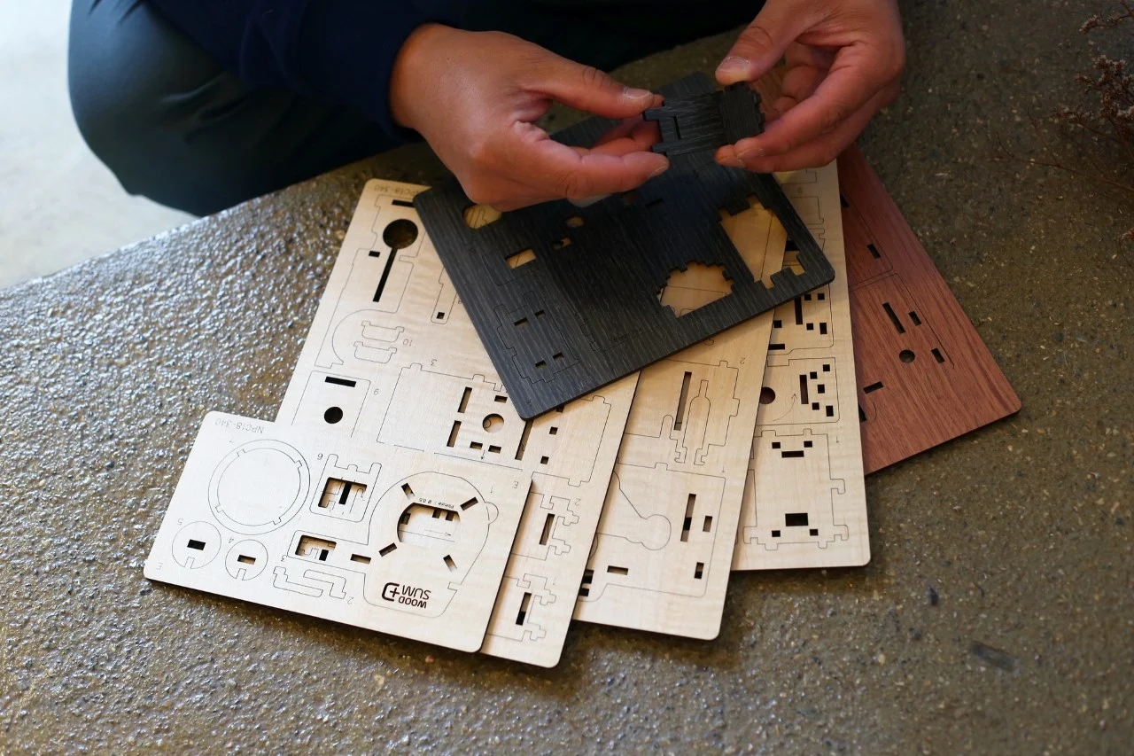 Woodsum，camera，Retro，Digital，