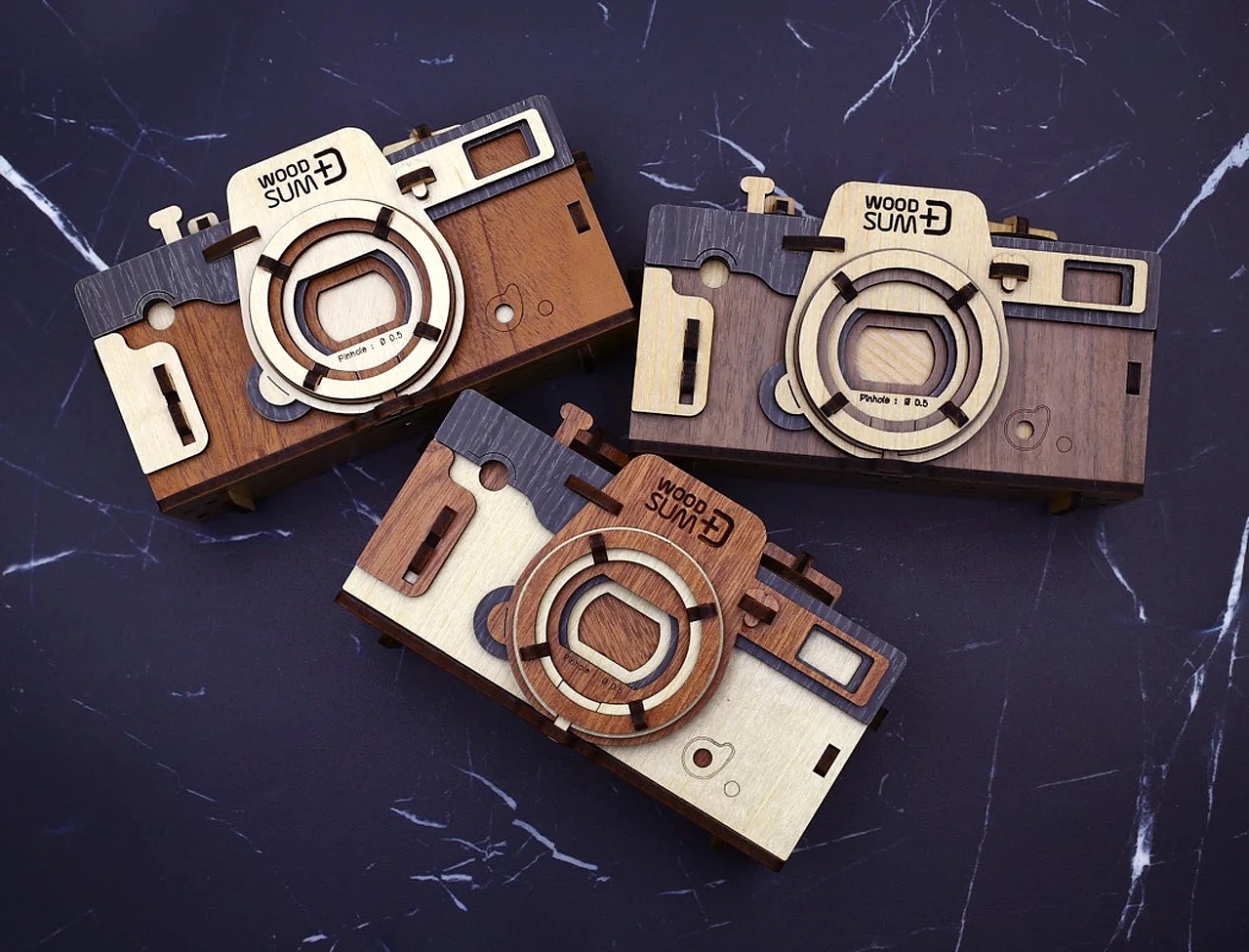 Woodsum，camera，Retro，Digital，