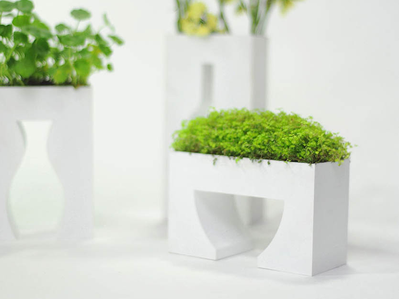 VASE，vase，Vase design，Indoor furnishings，a decoration，empty，Negative space，