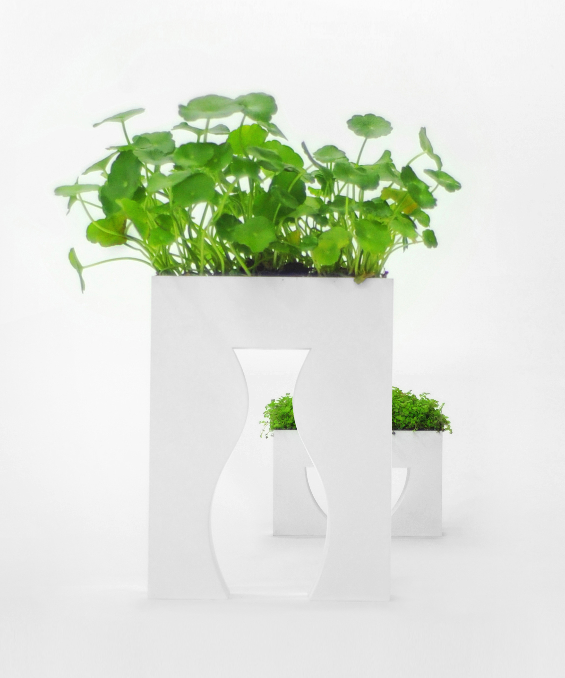 VASE，vase，Vase design，Indoor furnishings，a decoration，empty，Negative space，