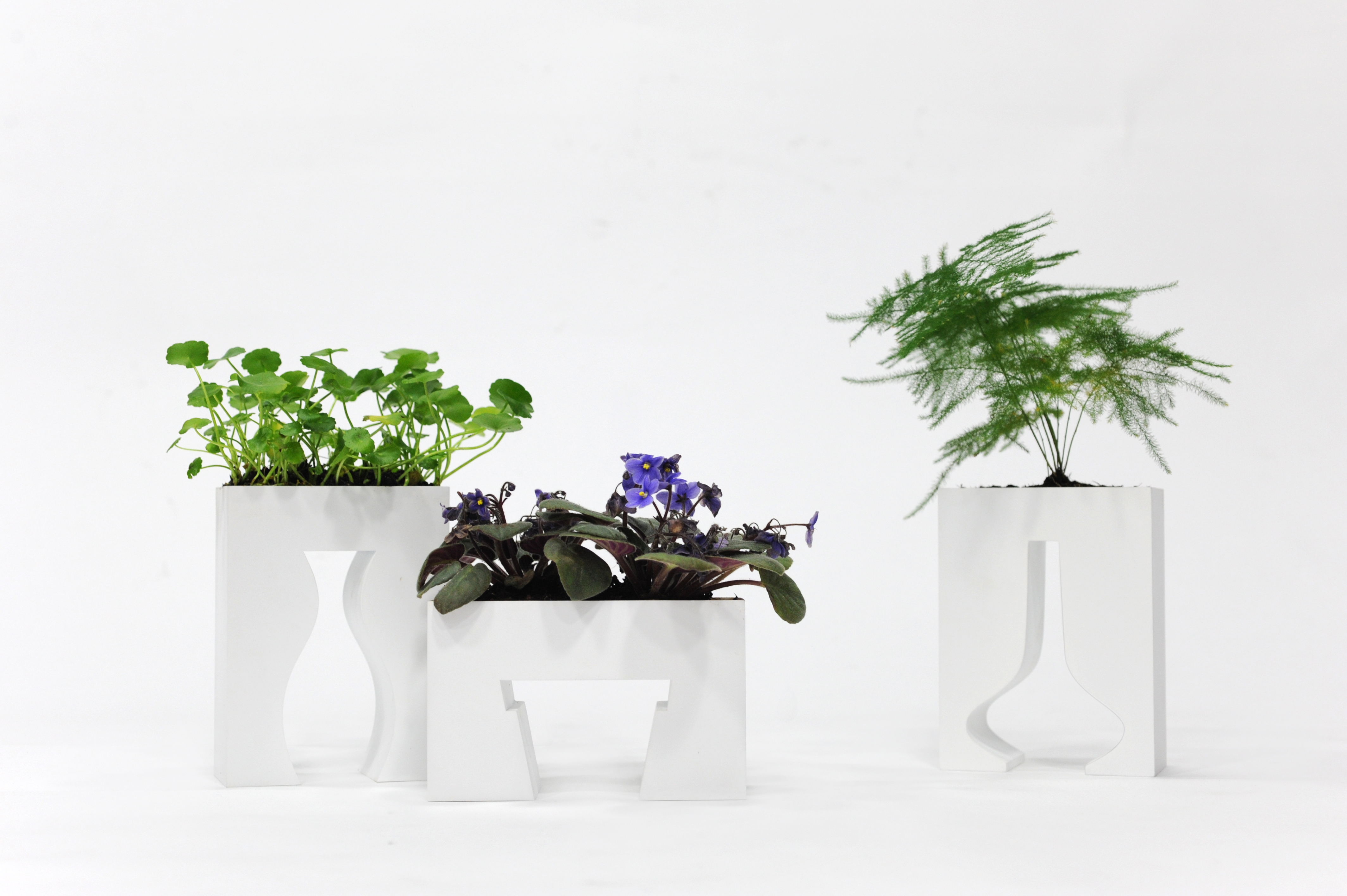 VASE，vase，Vase design，Indoor furnishings，a decoration，empty，Negative space，