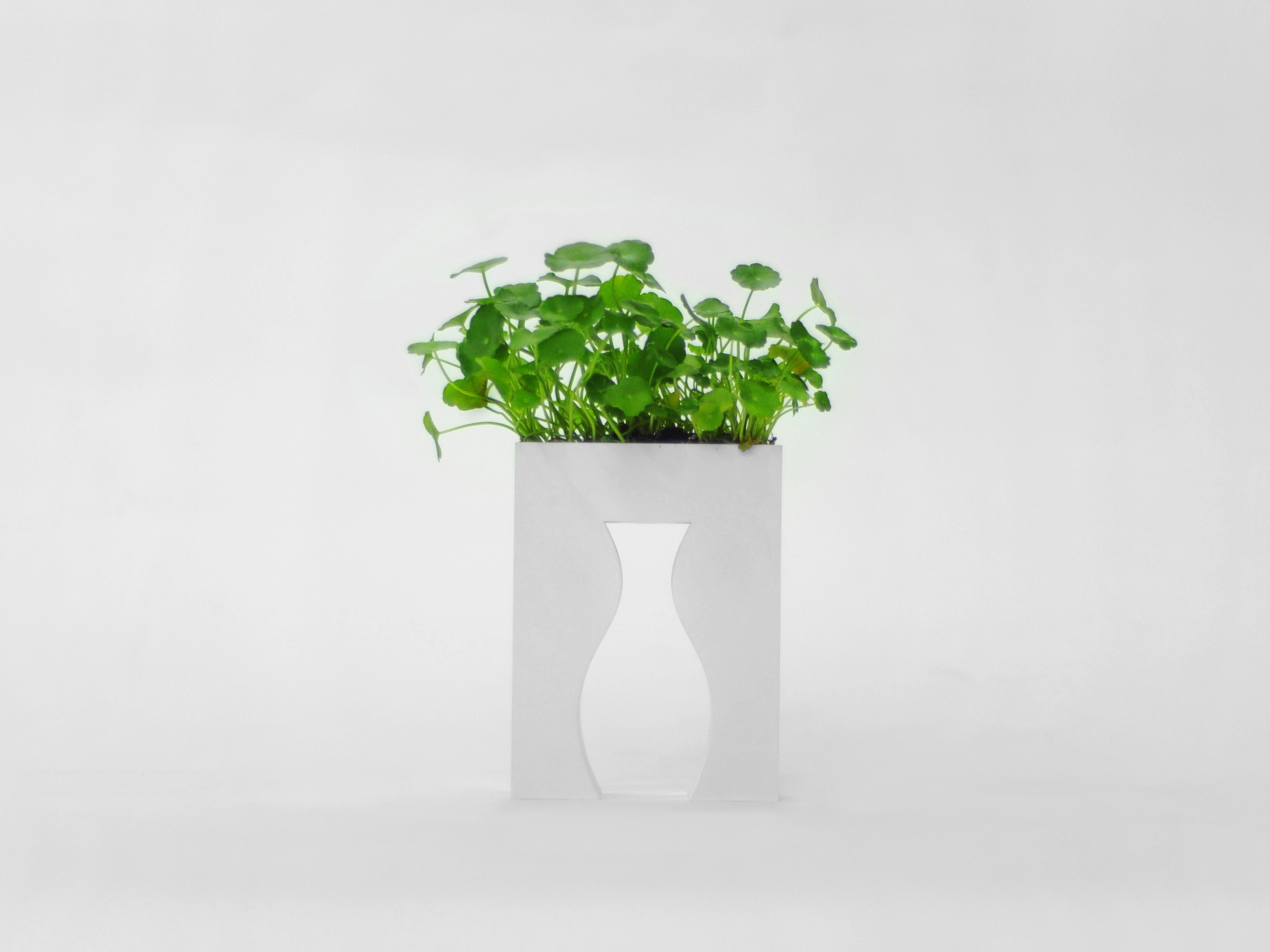 VASE，vase，Vase design，Indoor furnishings，a decoration，empty，Negative space，