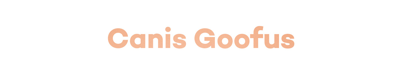 Filip Hodas，Cartoon Fossils，Cartoon fossil series，