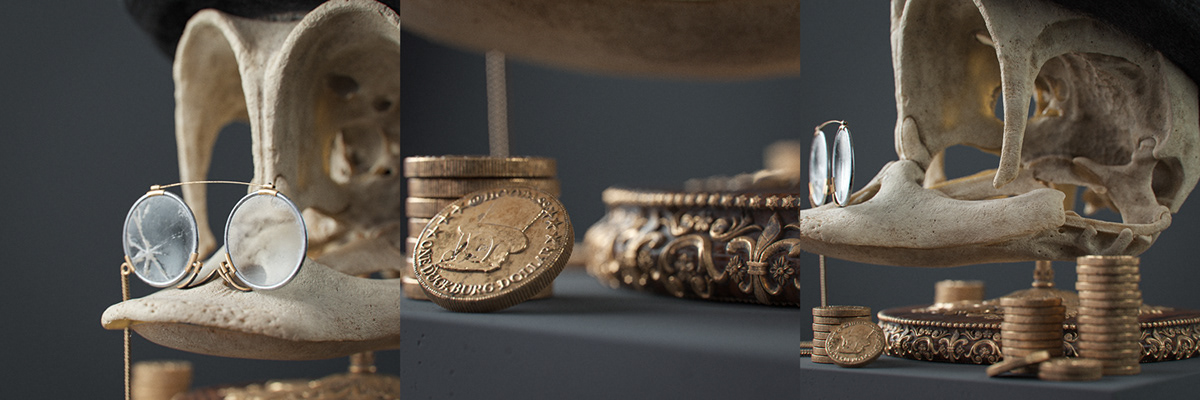 Filip Hodas，Cartoon Fossils，Cartoon fossil series，