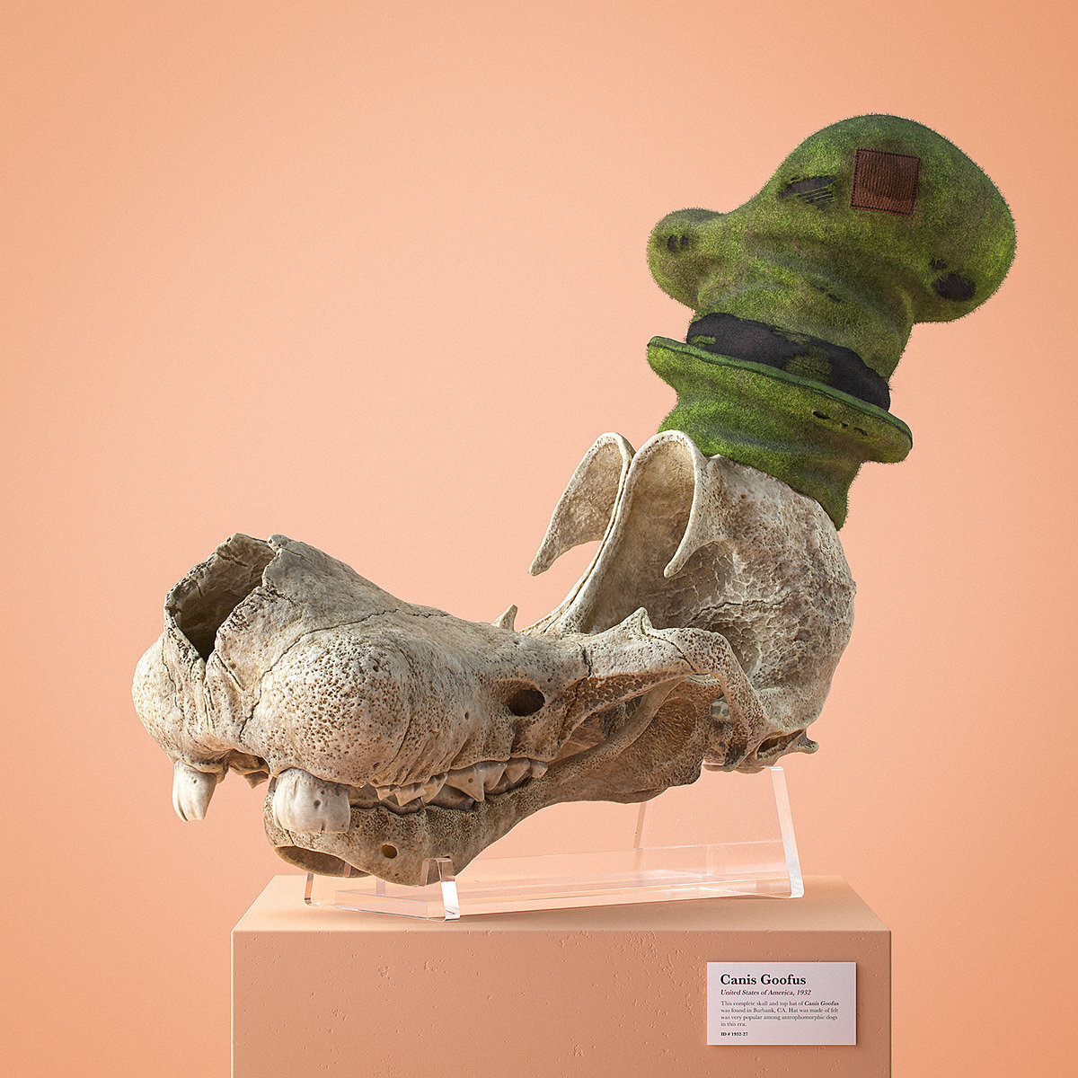 Filip Hodas，Cartoon Fossils，Cartoon fossil series，