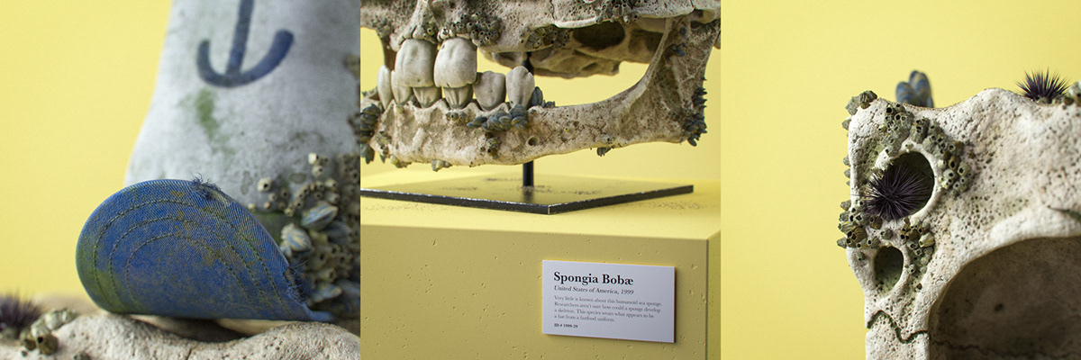 Filip Hodas，Cartoon Fossils，Cartoon fossil series，