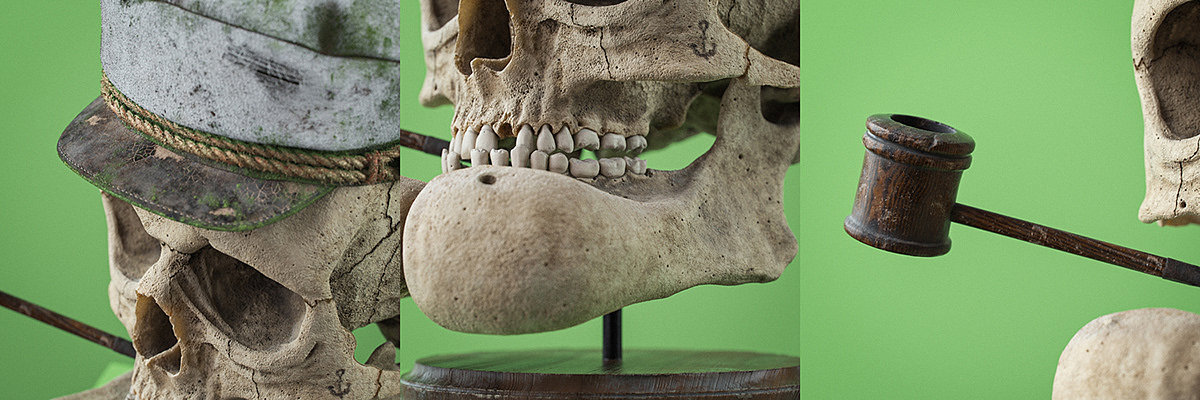 Filip Hodas，Cartoon Fossils，Cartoon fossil series，