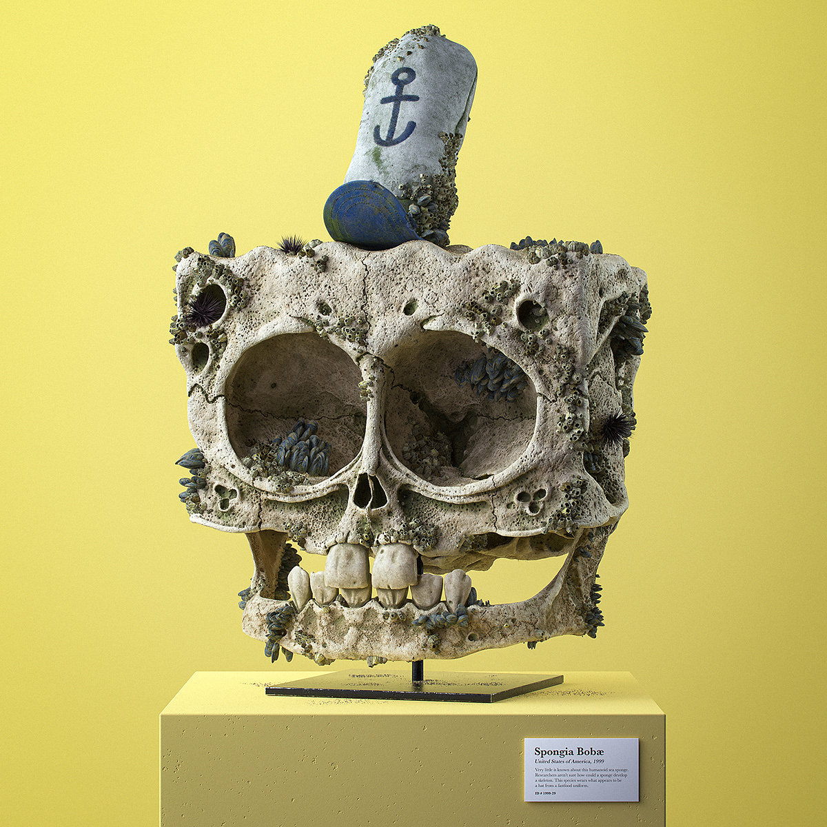 Filip Hodas，Cartoon Fossils，Cartoon fossil series，