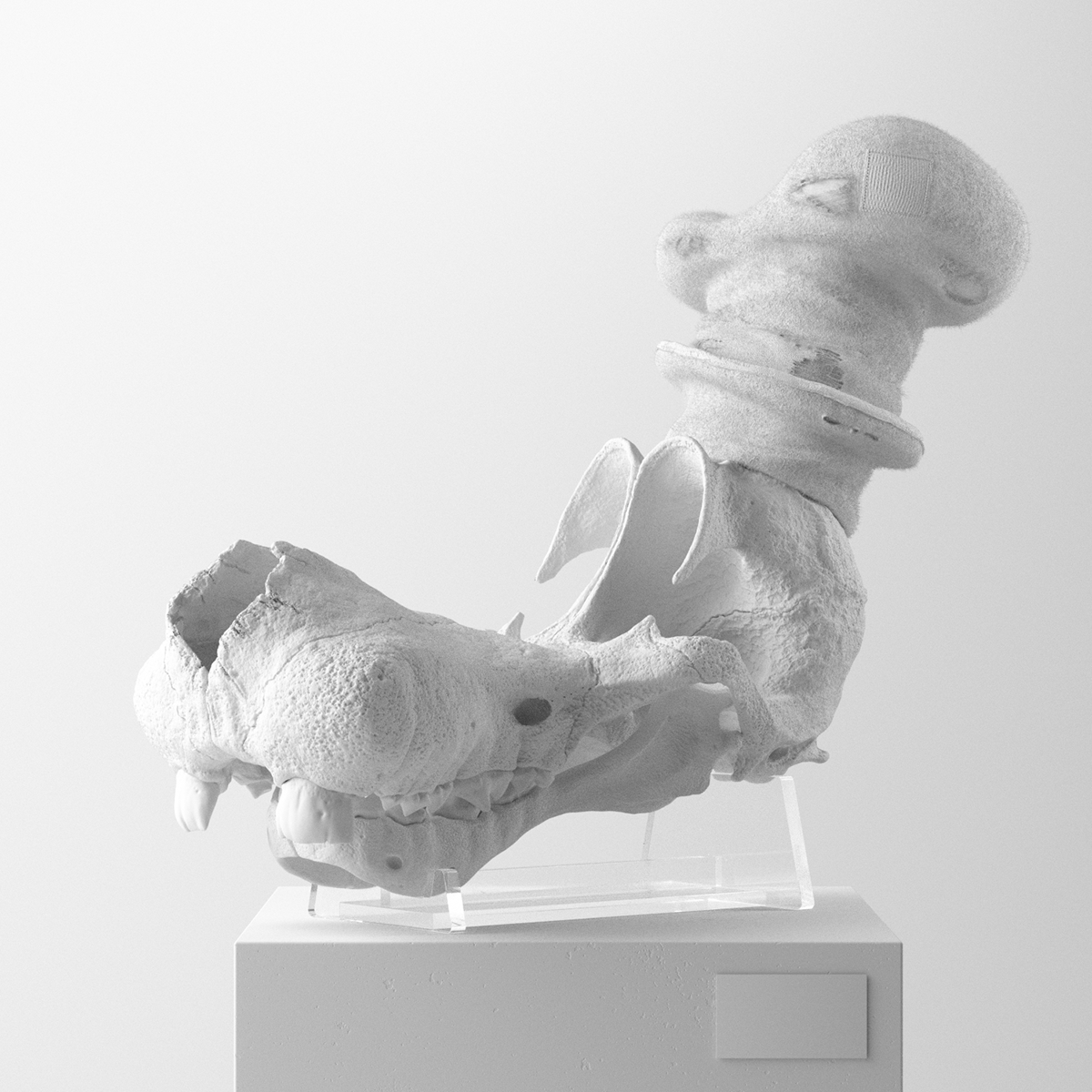 Filip Hodas，Cartoon Fossils，Cartoon fossil series，