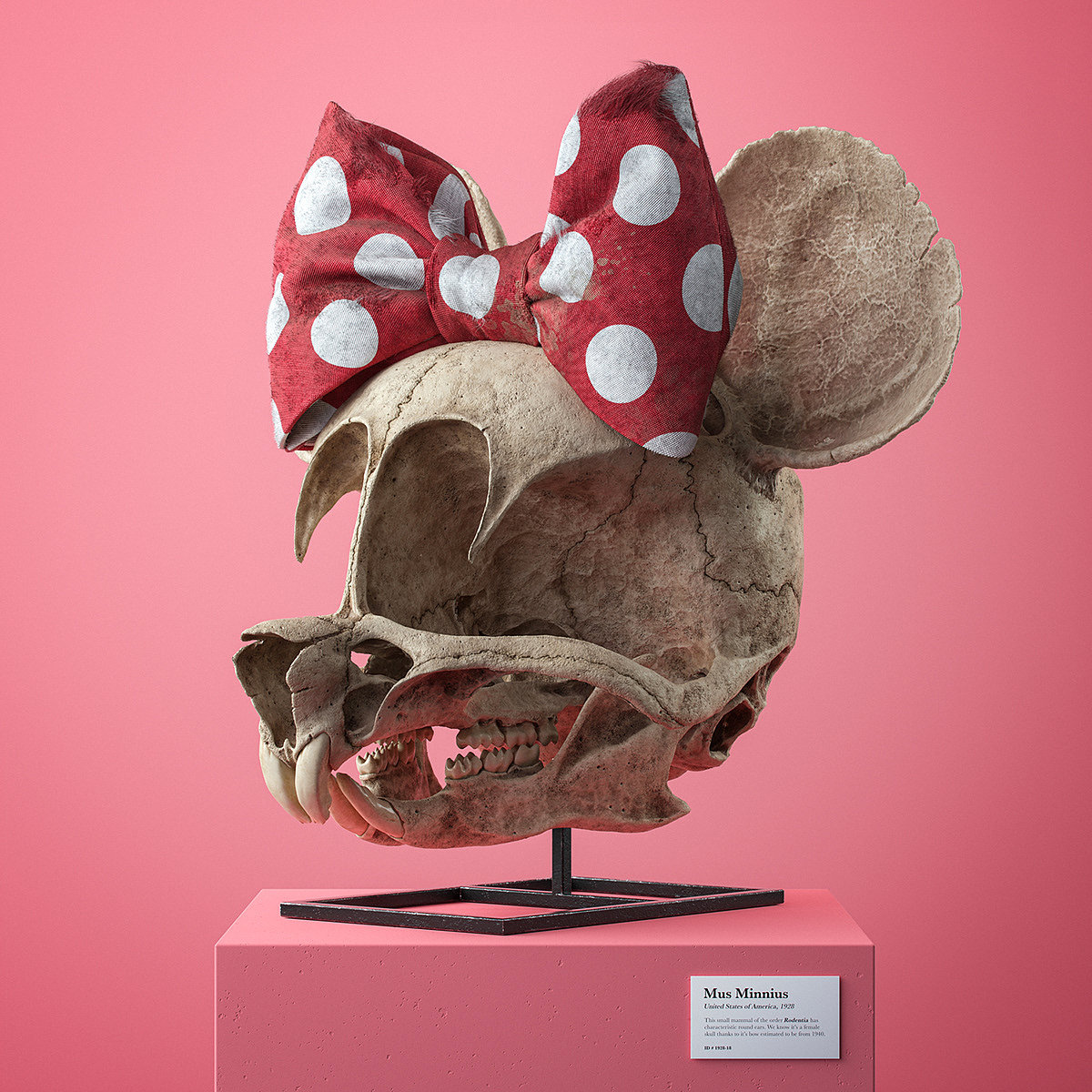 Filip Hodas，Cartoon Fossils，Cartoon fossil series，