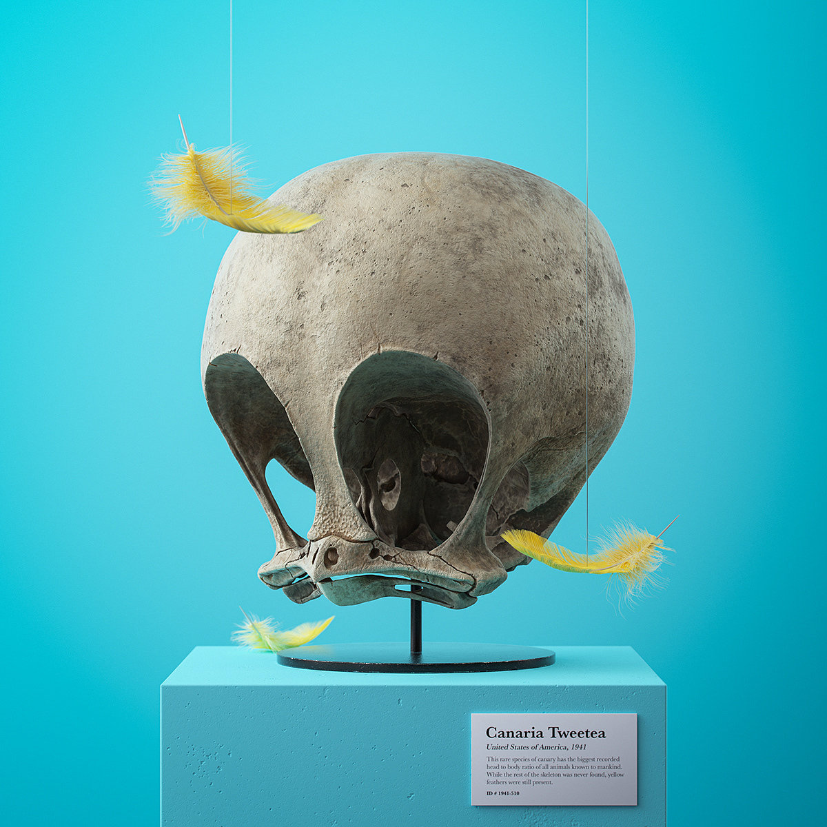 Filip Hodas，Cartoon Fossils，卡通化石系列，