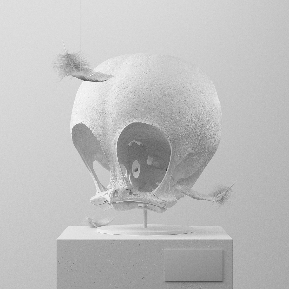 Filip Hodas，Cartoon Fossils，卡通化石系列，