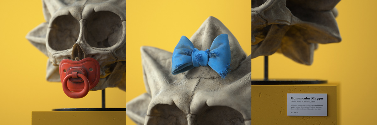 Filip Hodas，Cartoon Fossils，Cartoon fossil series，