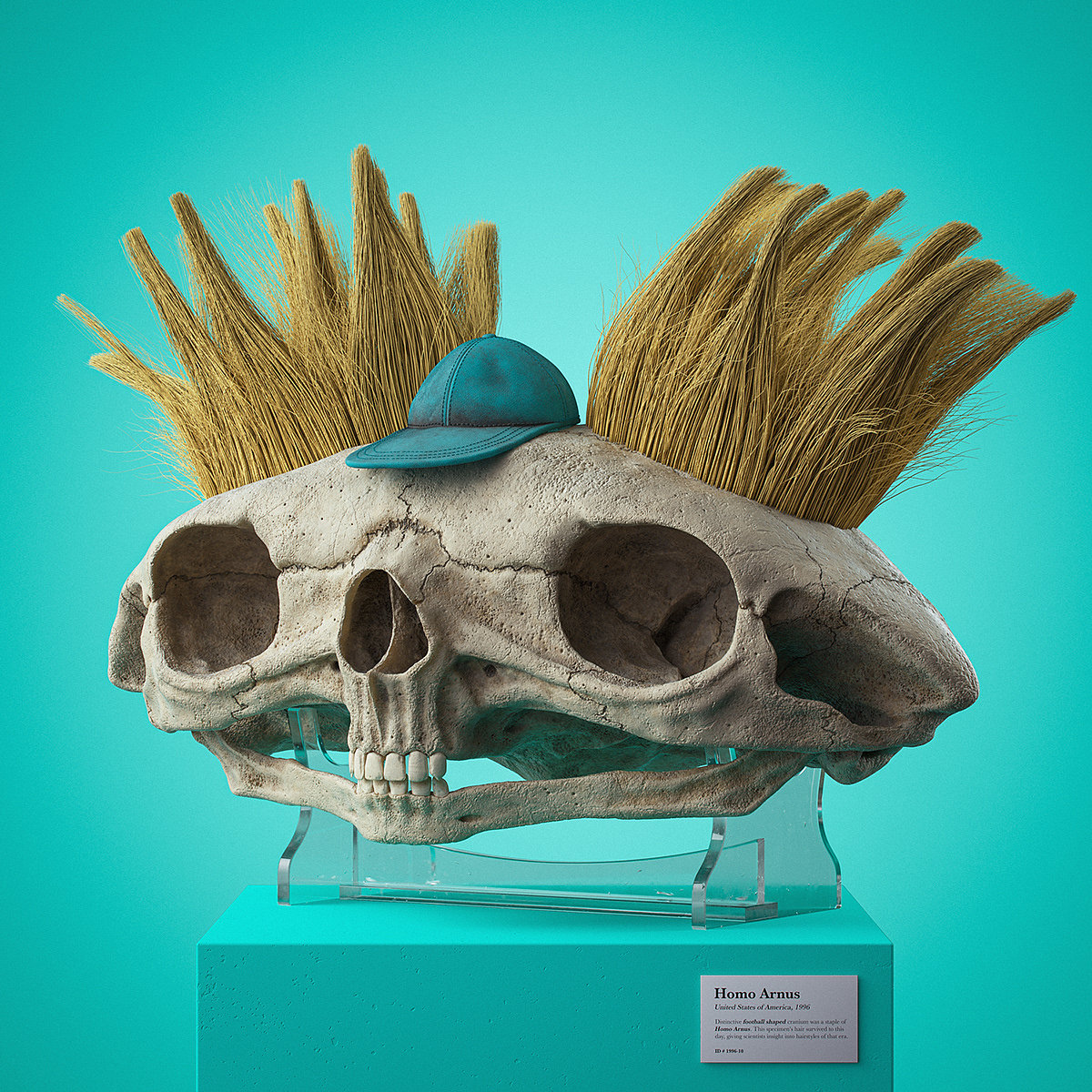 Filip Hodas，Cartoon Fossils，卡通化石系列，