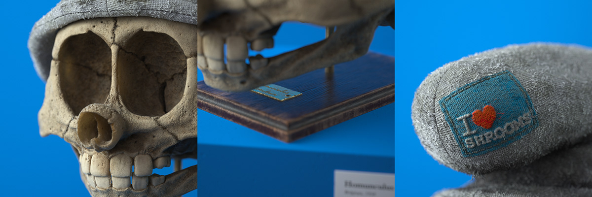 Filip Hodas，Cartoon Fossils，Cartoon fossil series，