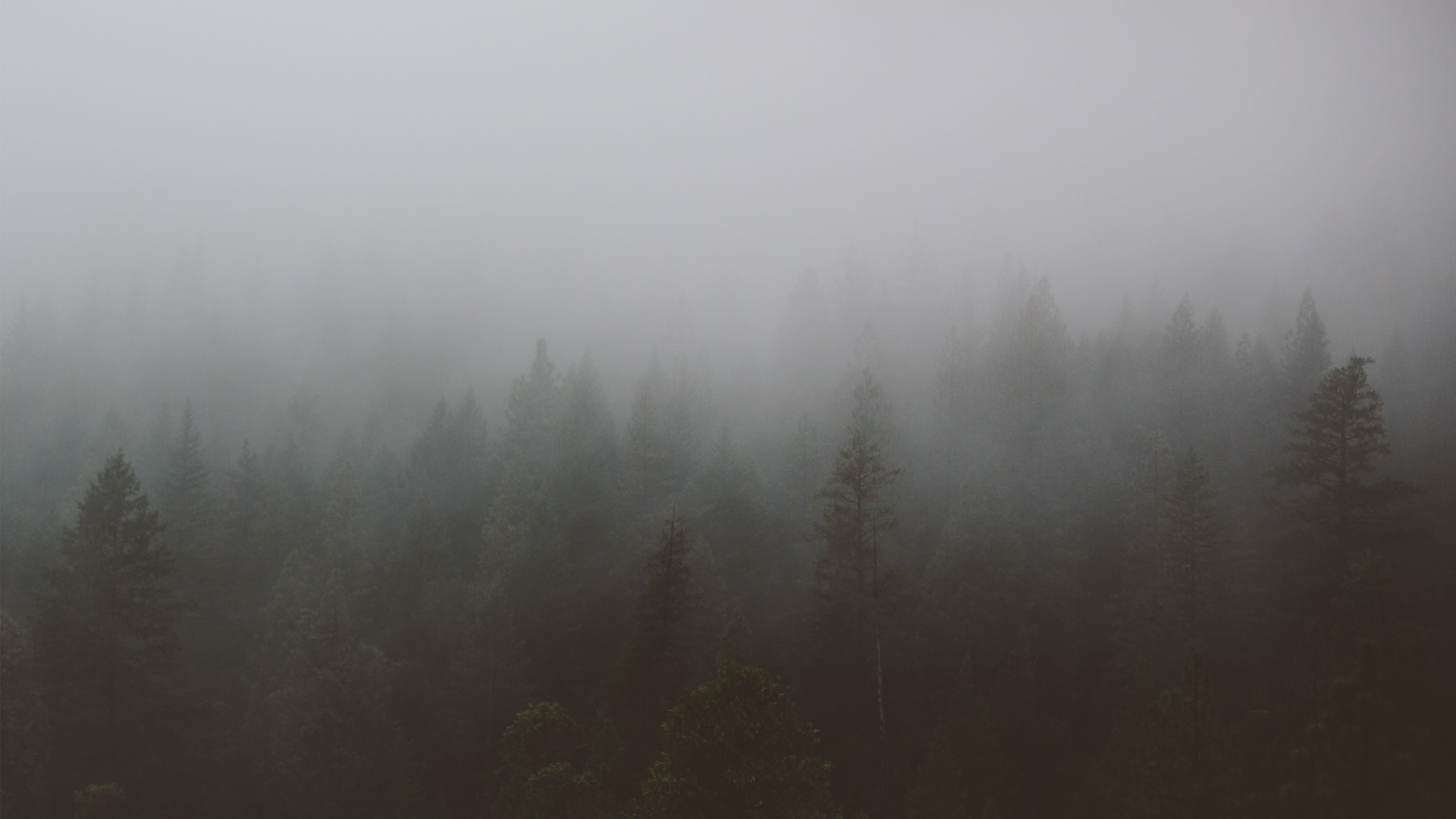 outdoors，meet an emergency，radio，Flashlight，Hand power generation，on foot，camping，Amazon，