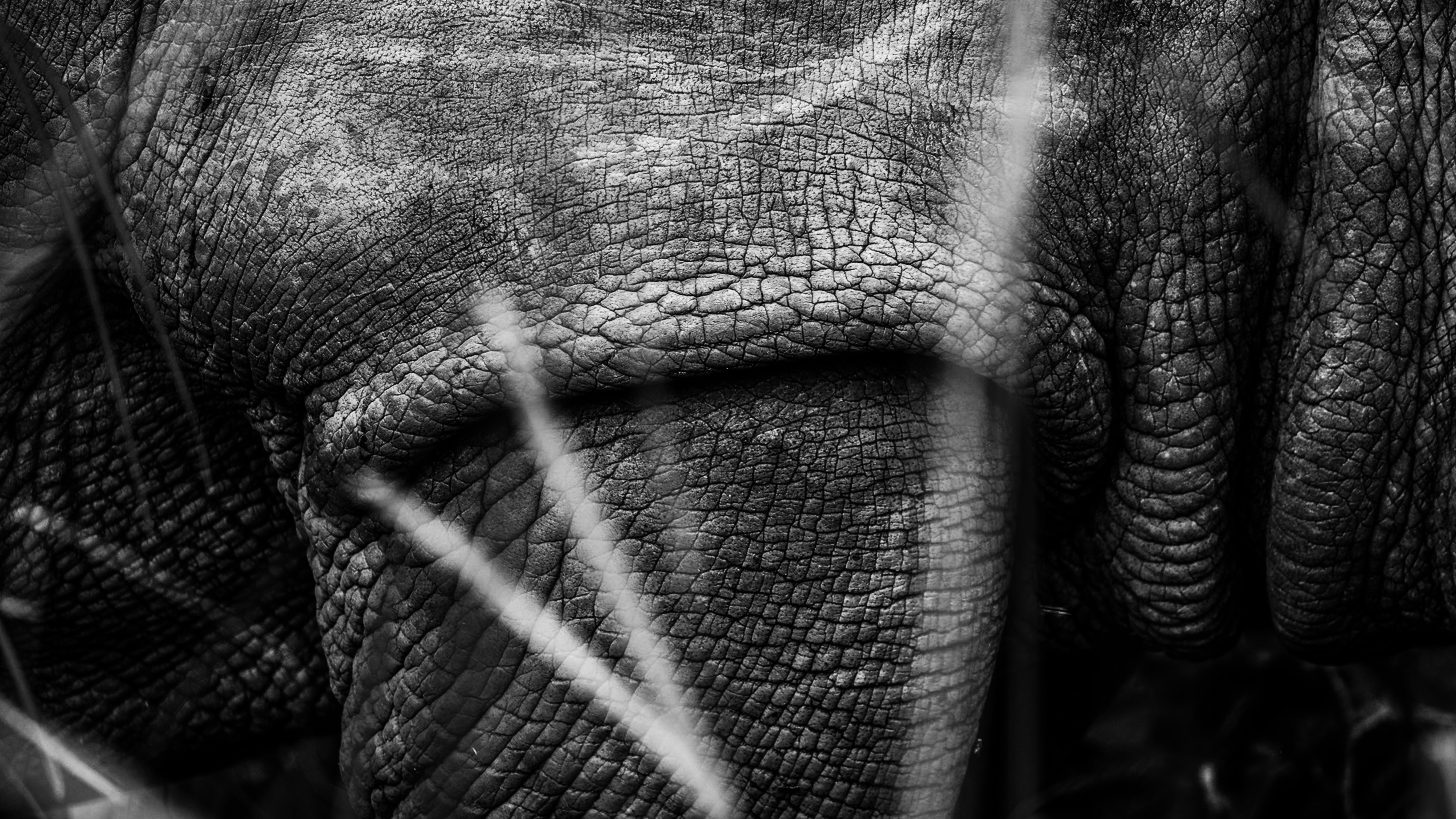 outdoors，meet an emergency，radio，Flashlight，Hand power generation，on foot，camping，Amazon，