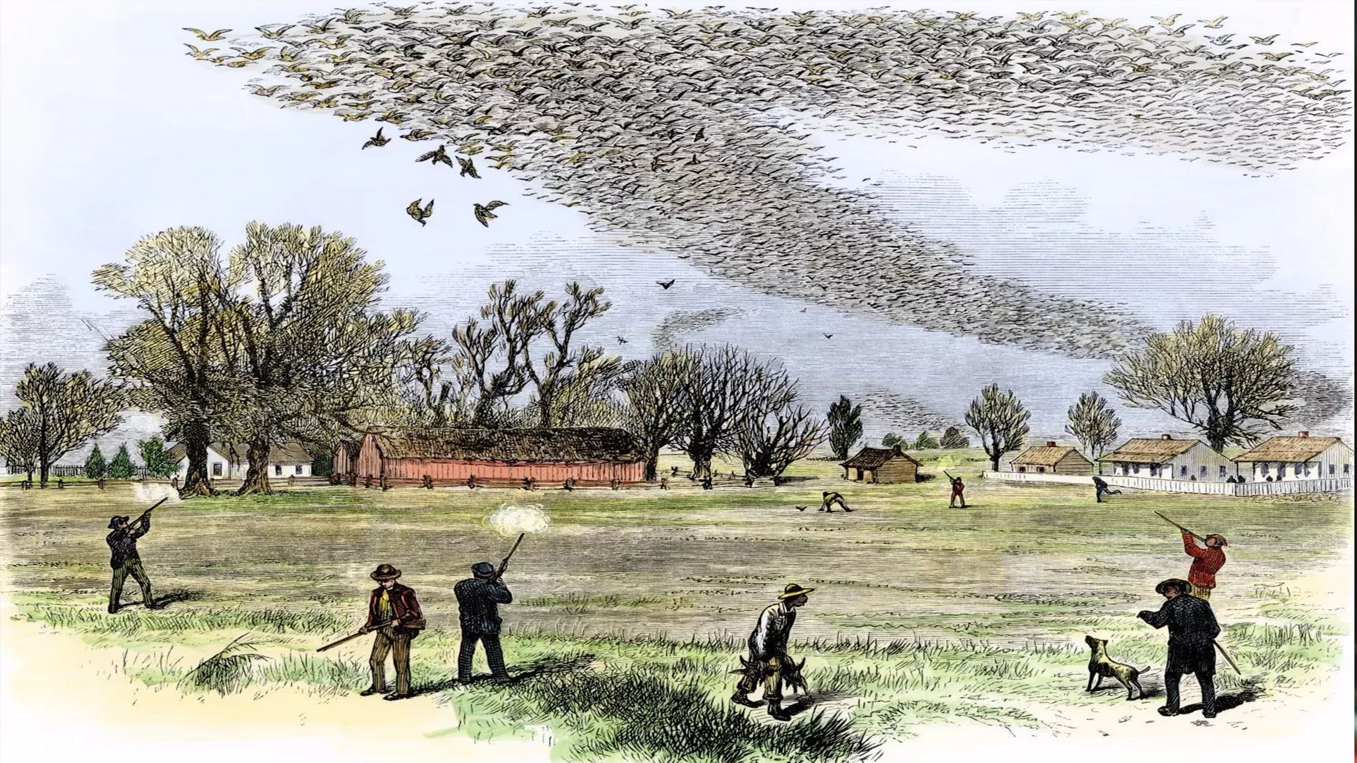 outdoors，meet an emergency，radio，Flashlight，Hand power generation，on foot，camping，Amazon，