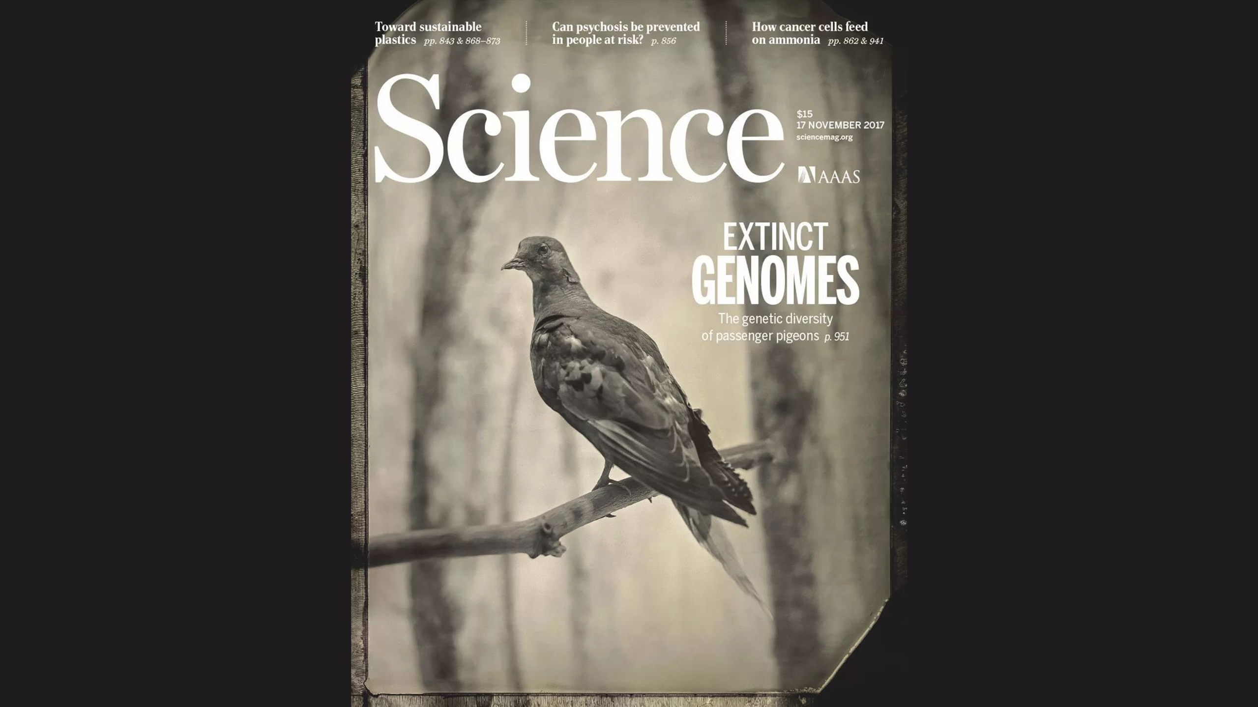 outdoors，meet an emergency，radio，Flashlight，Hand power generation，on foot，camping，Amazon，