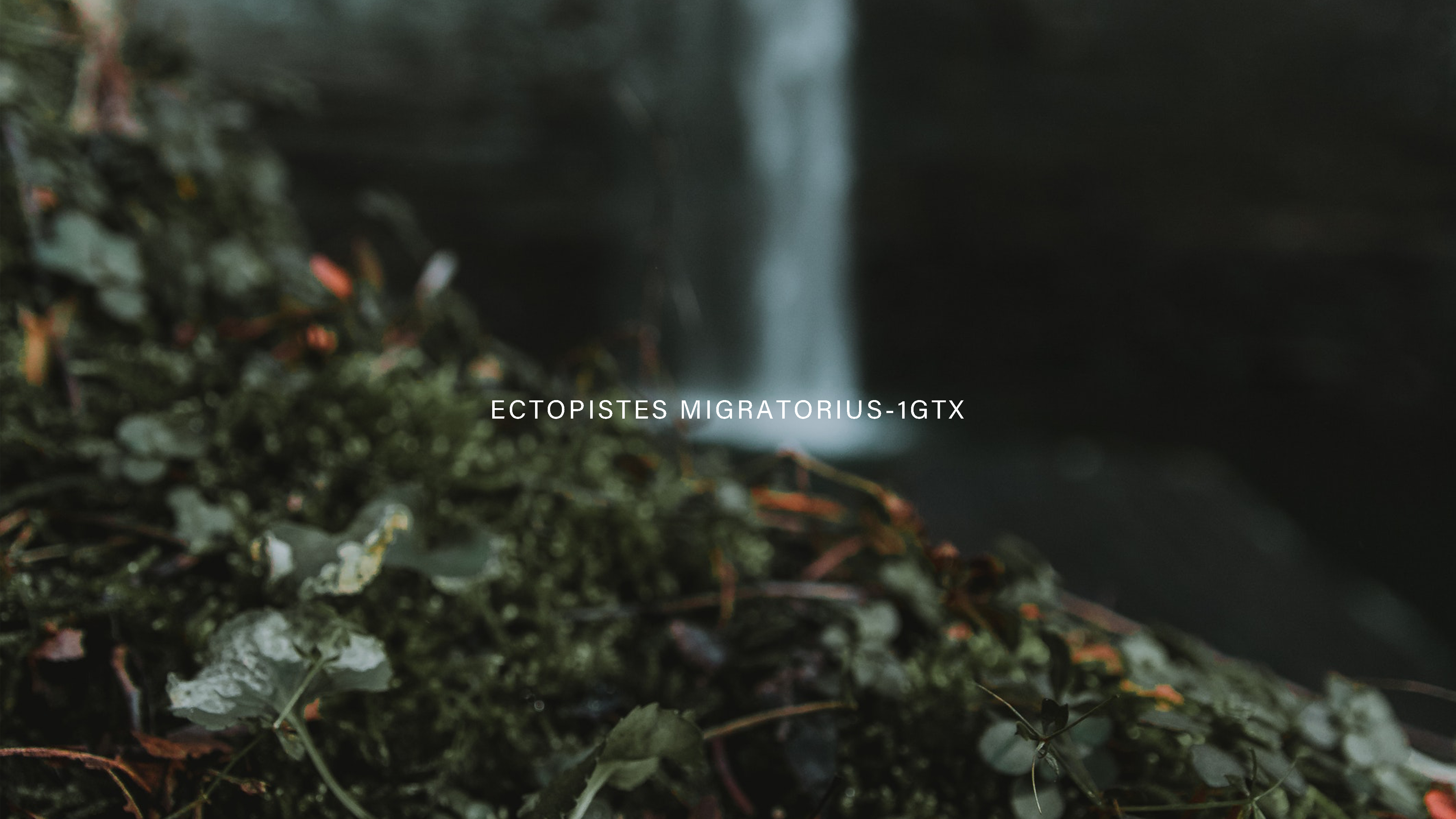 outdoors，meet an emergency，radio，Flashlight，Hand power generation，on foot，camping，Amazon，