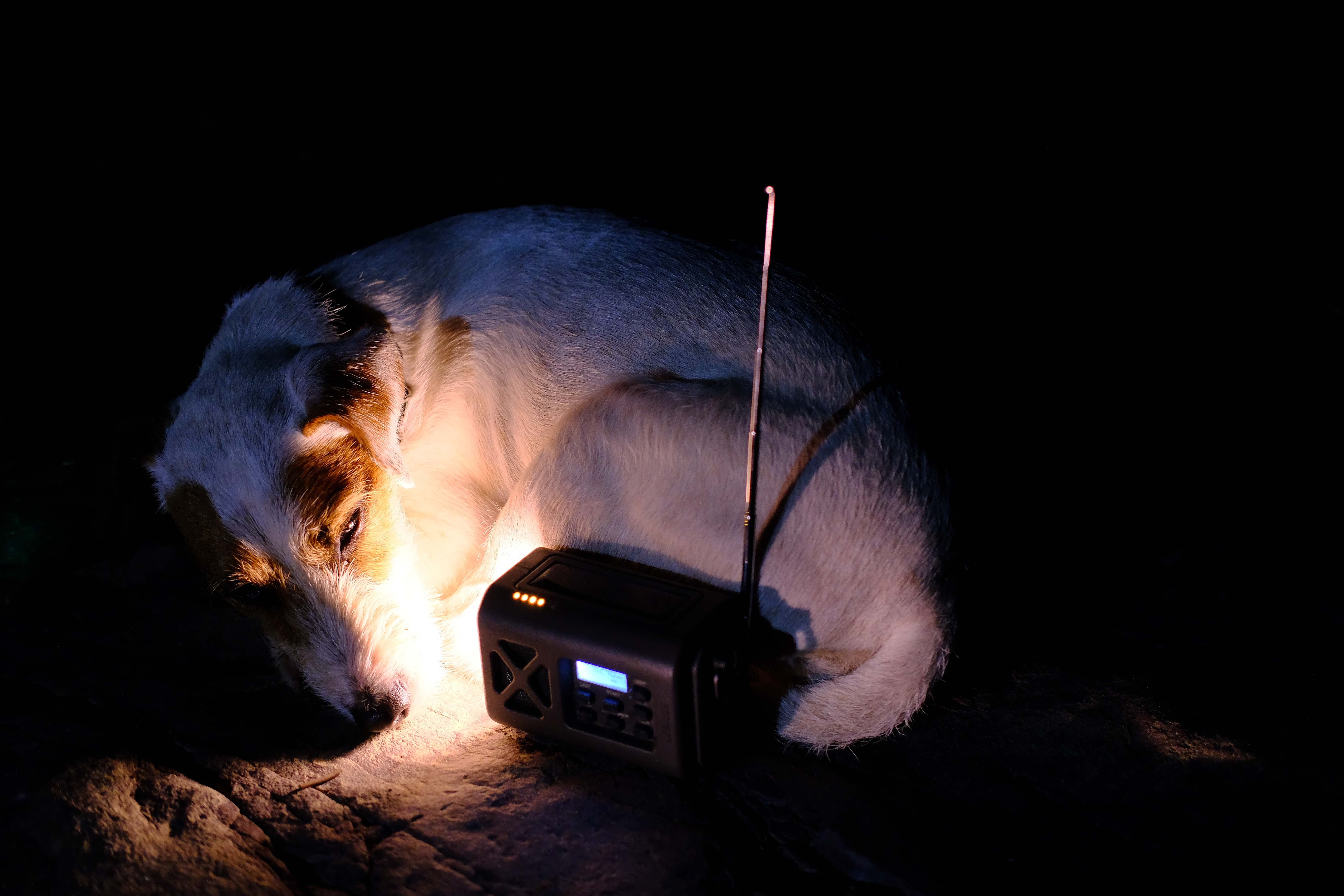 outdoors，meet an emergency，radio，Flashlight，Hand power generation，on foot，camping，Amazon，