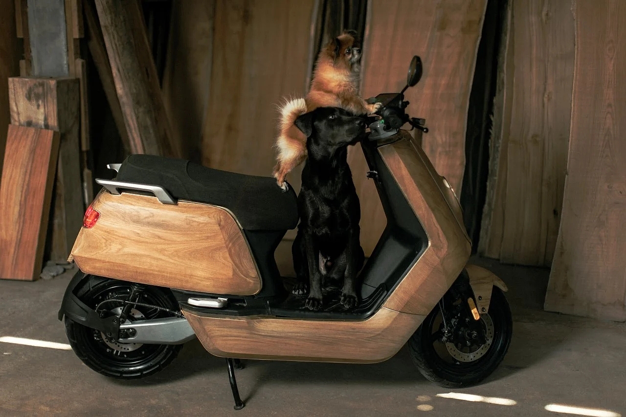 woodiness，Moped，customized，