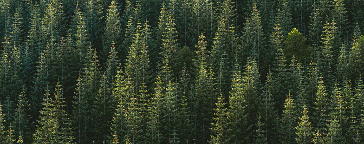 travel，knapsack，Dimension drawing，Crop graph，outdoors，