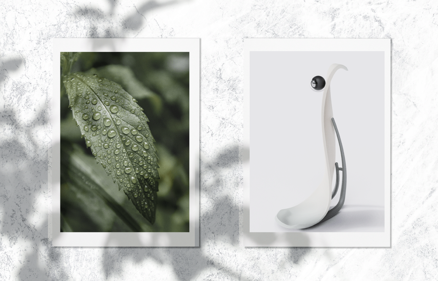 intelligence，Botany，testing，