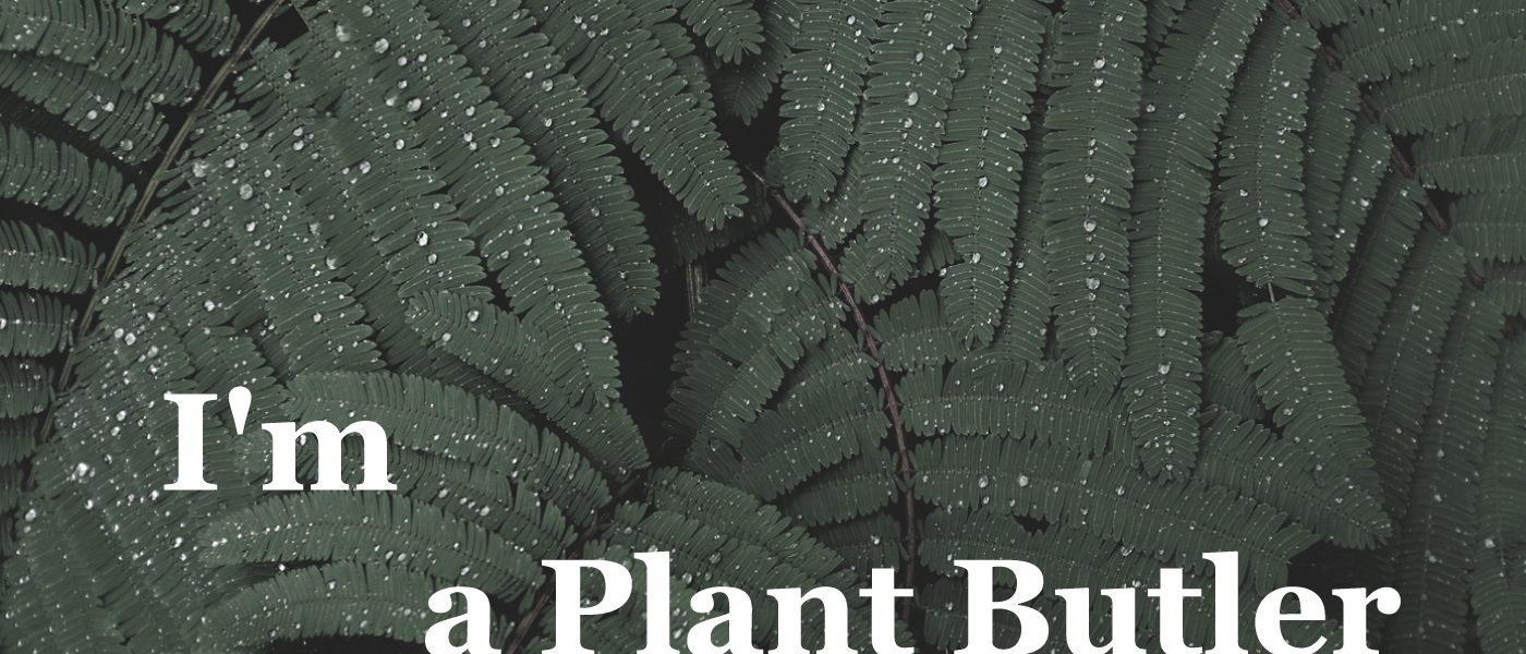 intelligence，Botany，testing，