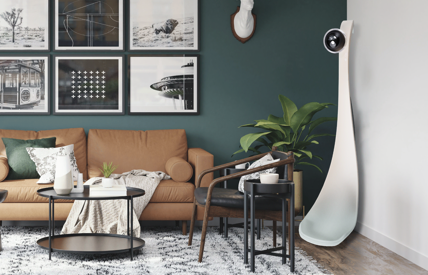 intelligence，Botany，testing，