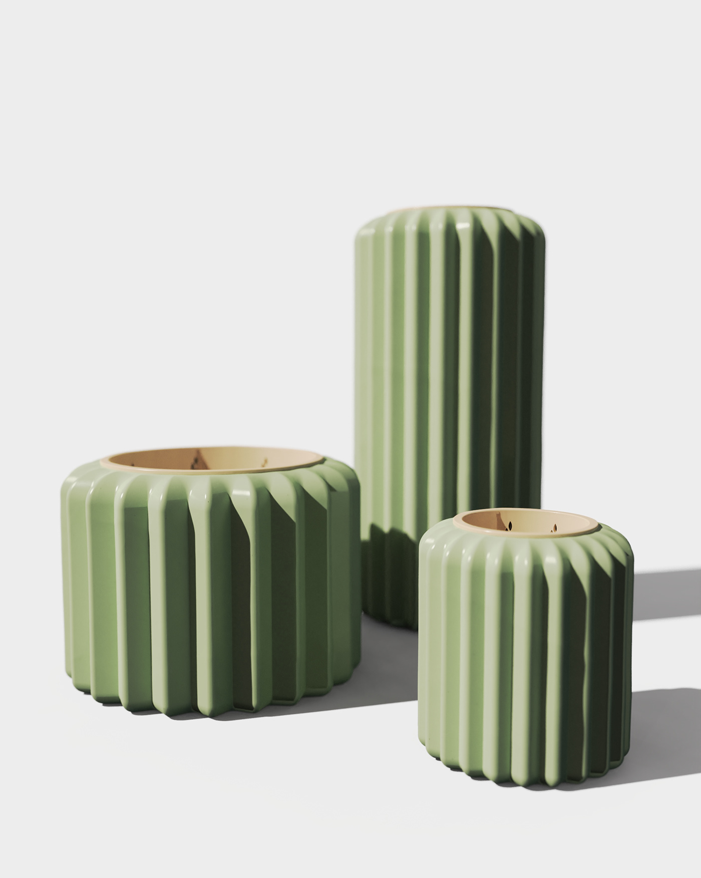 Flowerpot，cactus，cultivate，