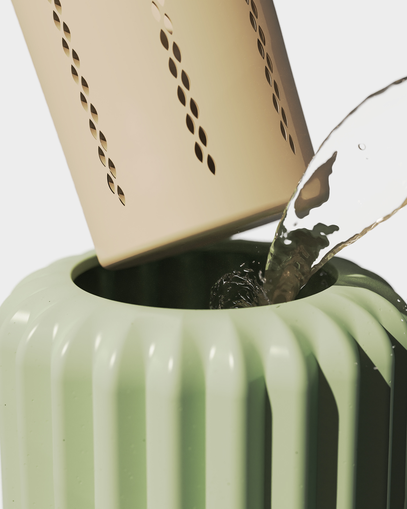 Flowerpot，cactus，cultivate，