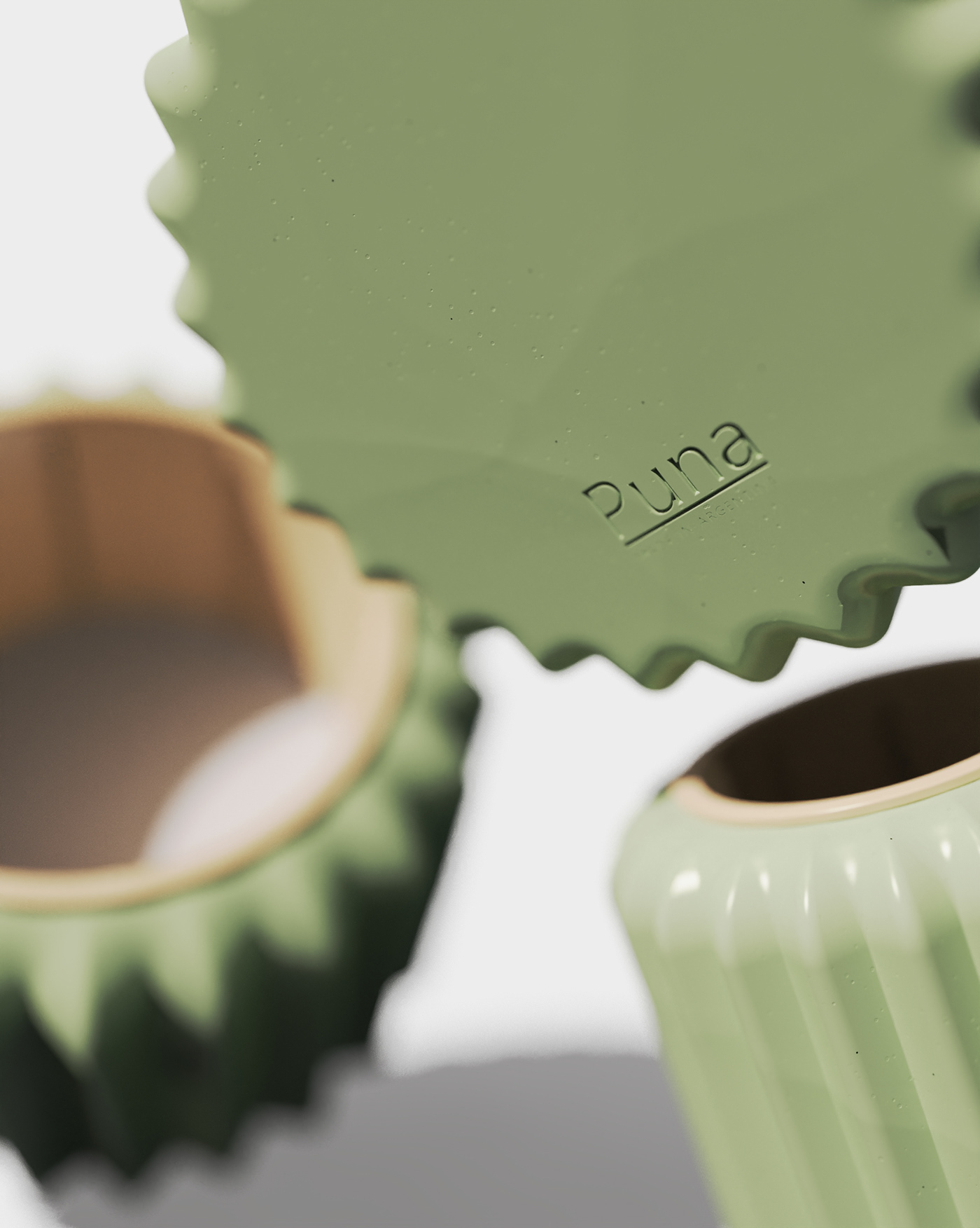 Flowerpot，cactus，cultivate，