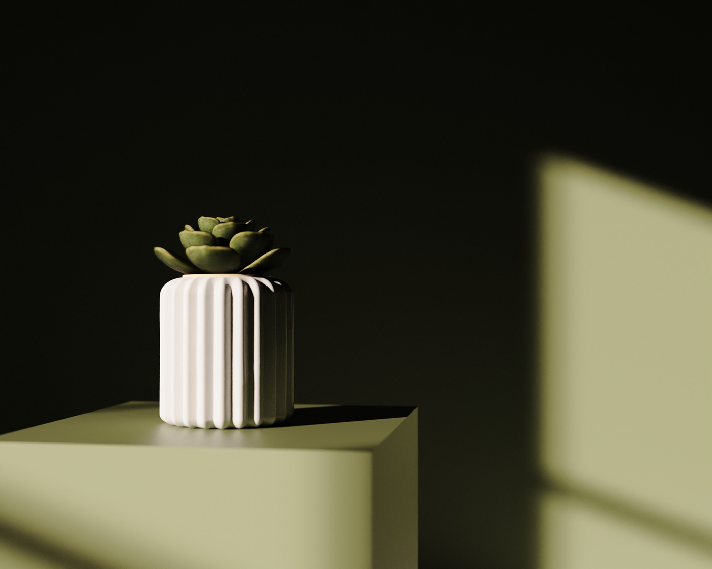 Flowerpot，cactus，cultivate，