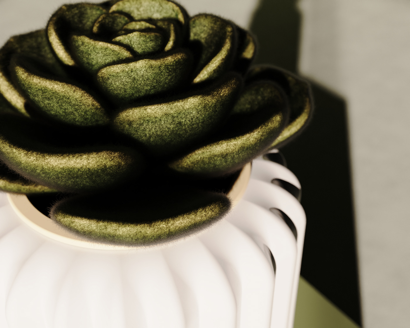 Flowerpot，cactus，cultivate，