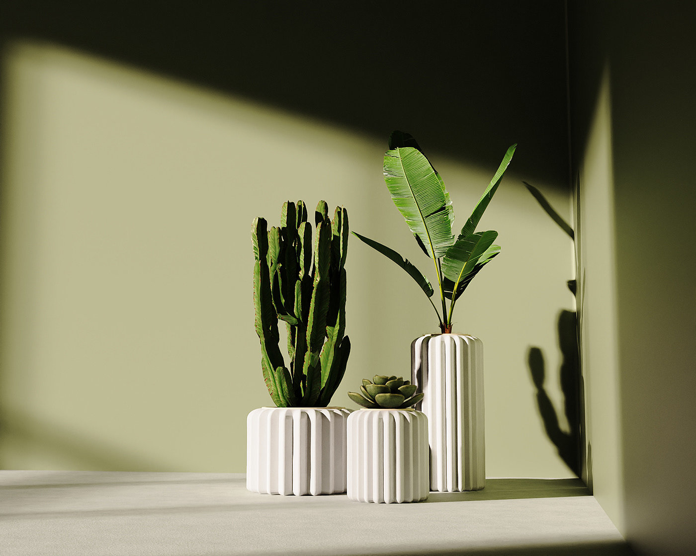 Flowerpot，cactus，cultivate，
