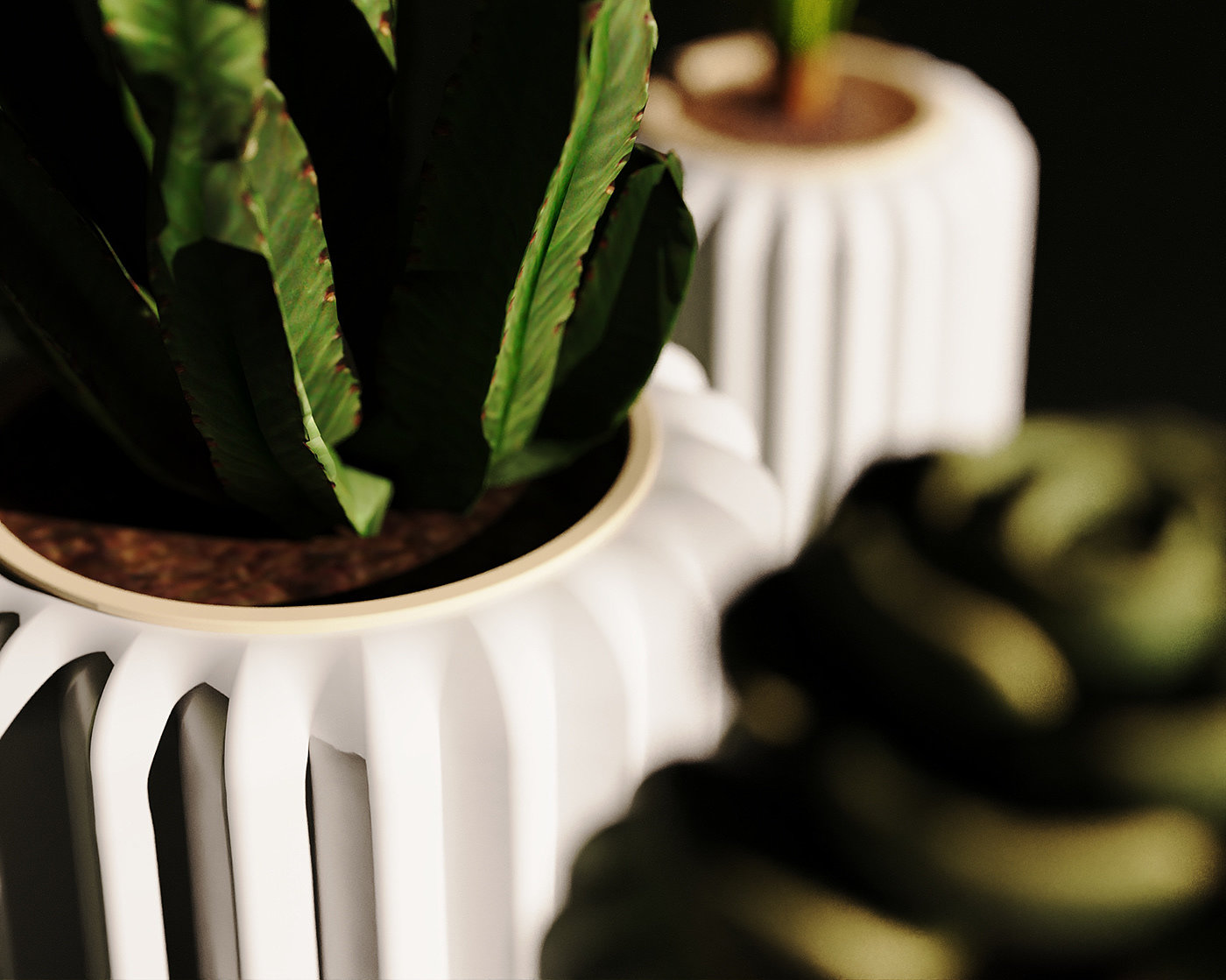 Flowerpot，cactus，cultivate，
