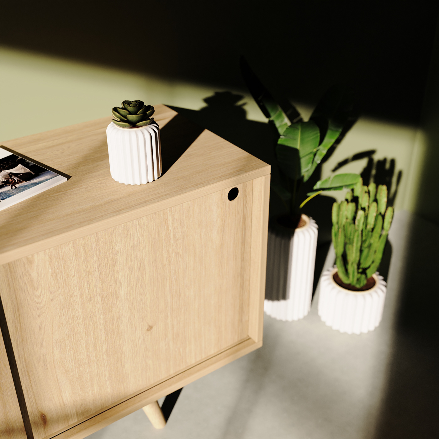 Flowerpot，cactus，cultivate，