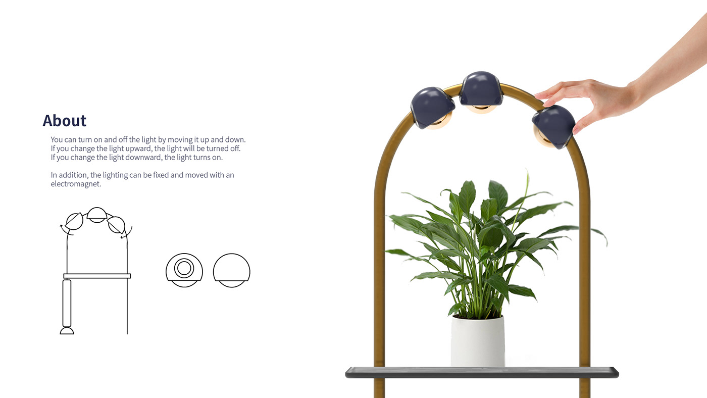 Flower rack，blue，modern，