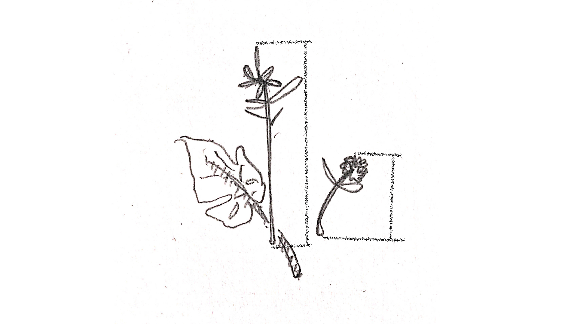 combination，vase，tool，color，