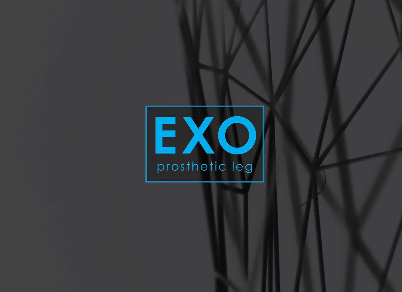 exo，Intelligent prosthesis，medical care，